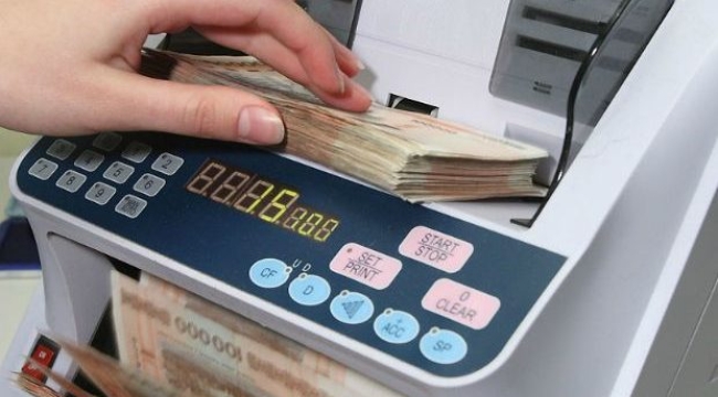 7 şirket 1,7 milyar liralık dövizi TL'ye dönüştürdü
