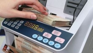 7 şirket 1,7 milyar liralık dövizi TL'ye dönüştürdü