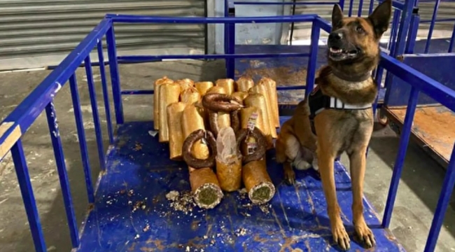 Adana'da kavurma kolilerinden 11 kilo marihuana çıktı