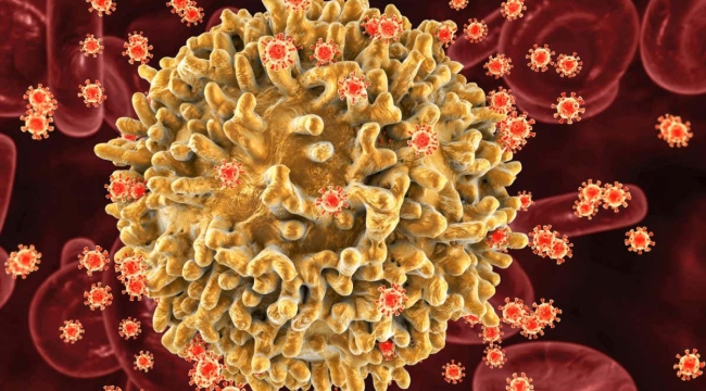 AIDS etkeni HIV'ın yeni bir varyantı keşfedildi
