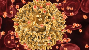 AIDS etkeni HIV'ın yeni bir varyantı keşfedildi