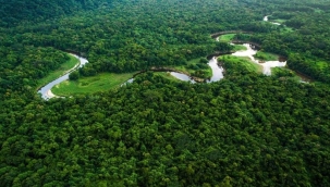 Amazonlar'ın 1-21 Ocak orman kaybı: 360 km²