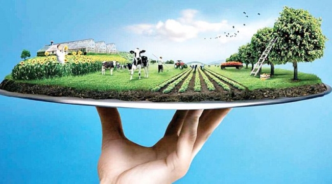 Elektrik faturaları tarımsal üretimi baltaladı
