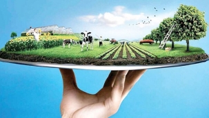 Elektrik faturaları tarımsal üretimi baltaladı