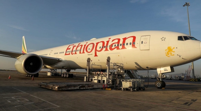 İki teknisyen Etiyopya'dan uçağa saklanarak kaçtı