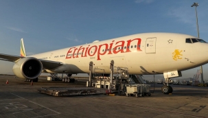 İki teknisyen Etiyopya'dan uçağa saklanarak kaçtı