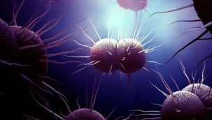 İngiltere'de 3 yeni "süper bel soğukluğu" vakası