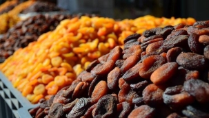 ''Kayısı ağaçları gübresiz, ilaçsız kaldı''