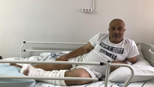 Köpek ile ineğini ayırmak isterken hastanelik oldu