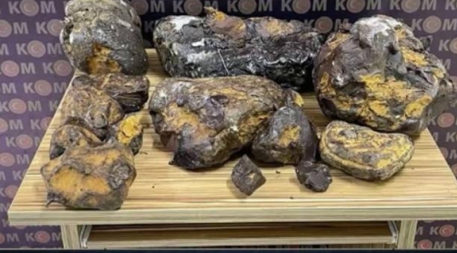 Mersin'de 42 kg kaçak amber ele geçirildi