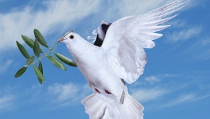 Rus bilim insanları: ''Savaşı durdurun''