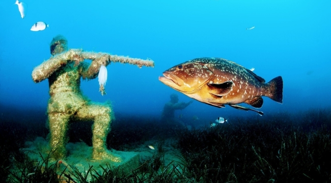 Su altı fotoğrafçısı Murat Kaptan, dünya birincisi oldu