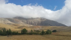 Yılanlı Dağı'na mermer ocağı projesi iptal edildi