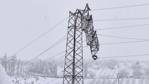 AEDAŞ'ta genel müdür dahil 3 isim görevden alındı
