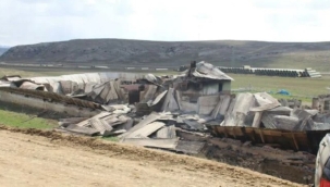 Ankara'da çıkan yangında 600 hayvan öldü