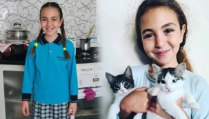 Başıboş köpek terörü Antalya'da bir can aldı