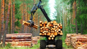 Bazı kereste ürünlerinin ihracatı sınırlandırıldı