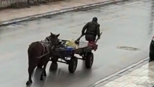 Hurdacı, atının yerine geçti