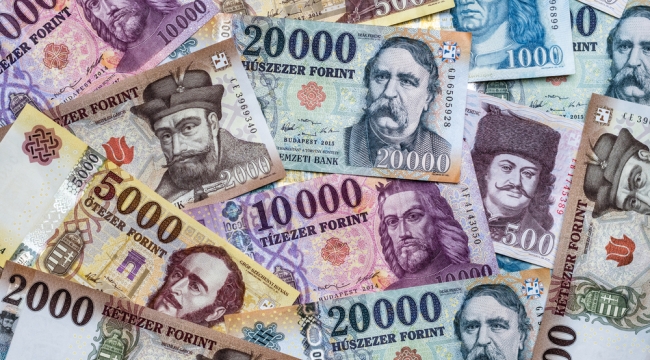 Macaristan'da son 10 yılın en yüksek faiz artışı