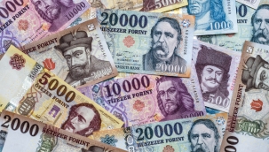 Macaristan'da son 10 yılın en yüksek faiz artışı