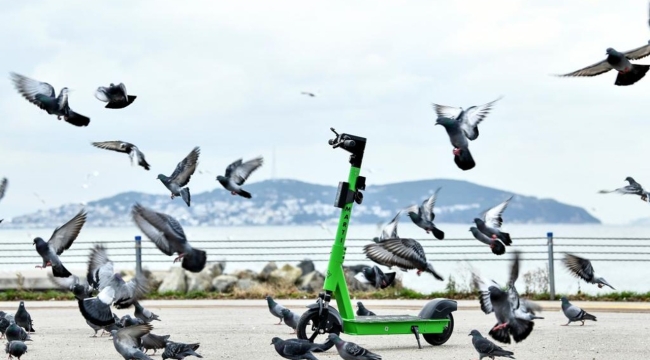 Scooter hizmeti Martı'da kişisel veriler sızdırıldı