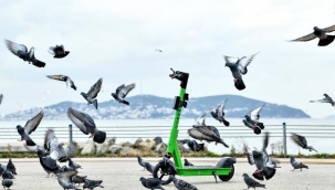 Scooter hizmeti Martı'da kişisel veriler sızdırıldı