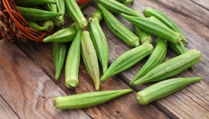 Bamya, mikroplastikleri filtrelemede kullanılabilir