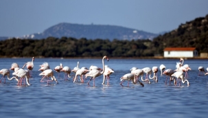 "Turizm Kenti" projesine bilirkişiden itiraz