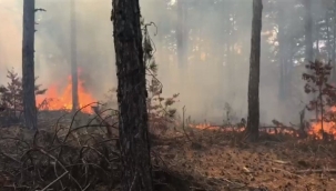 Balıkesir'de orman yangını kontrol altına alındı