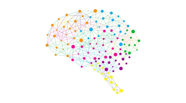 Şizofreni riskini artıran 120 gen tespit edildi