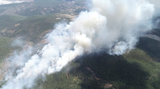 Bursa'da ormanlık alanlarda yangın çıktı