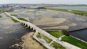 Büyükçekmece Gölü'nü yosun kapladı