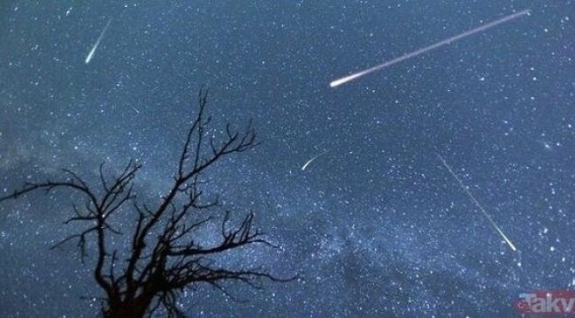 DNA yapıtaşları Dünya'ya meteorla gelmiş olabilir