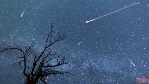 DNA yapıtaşları Dünya'ya meteorla gelmiş olabilir