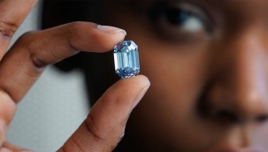 Dünyanın en büyük mavi elması alıcı buldu