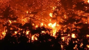 Hatay'da orman yangını çıktı