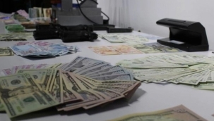 İki ilde sahte para operasyonu: 15 gözaltı