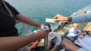 Marmara Denizi toksik tehlikesi altında