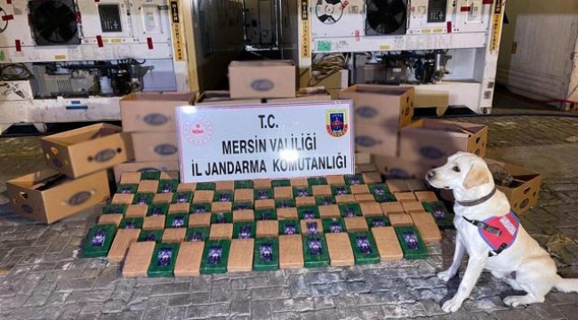 Mersin Limanı'nda 258 kilo kokain ele geçirildi