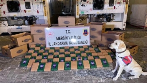 Mersin Limanı'nda 258 kilo kokain ele geçirildi