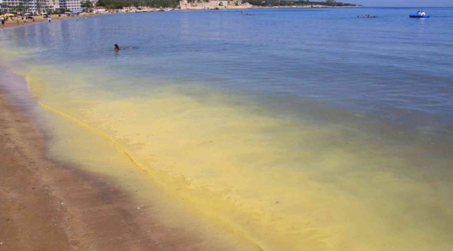 Polen tozları Mersin sahilini sarıya boyadı