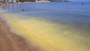 Polen tozları Mersin sahilini sarıya boyadı