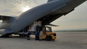 Türkiye, 2 ülkeye 250 bin aşı hibe ediyor