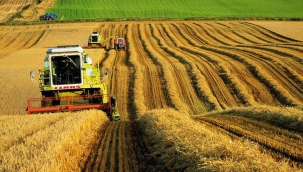 Üretici: "Tarımla uğraşmak kumar oynamak gibi"
