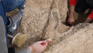 Irak'ta 4.000 yıllık ahşap tekne bulundu