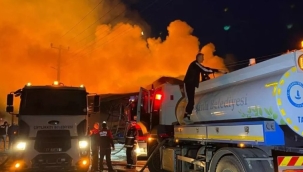 Yalova'da kereste fabrikasında yangın çıktı