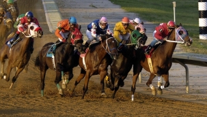 Yarış atları artık Varlık Fonu için koşacak