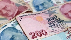 Piyasadaki 100 ve 200 TL'lik banknot oranı %87,96