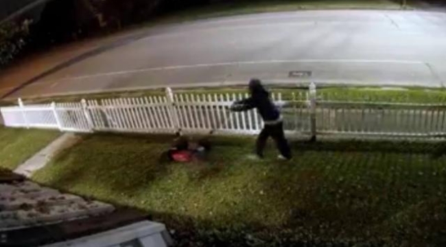 ABD'de bir hırsız girdiği evin çimlerini biçti