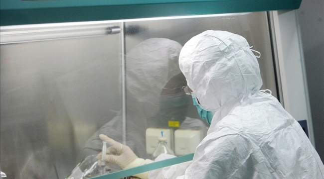 BAE'de ilk maymun çiçeği vakası görüldü